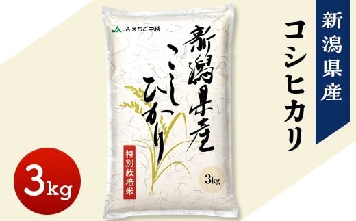 75-7N031新潟県長岡産コシヒカリ3kg(特別栽培米)【2026年1月下旬発送】新潟県長岡市10000米・パン白米