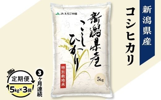 75-7N053A【3ヶ月連続お届け】新潟県長岡産コシヒカリ5kg(特別栽培米)【2026年2月下旬発送開始】新潟県長岡市48000米・パン白米