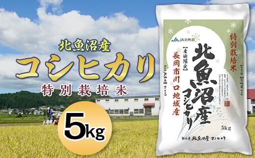 7T05-1北魚沼産コシヒカリ特別栽培米5kg(長岡川口地域)【2026年1月発送】新潟県長岡市21000米・パン白米