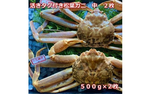 【先行予約】活きタグ付き松葉ガニ 中 2枚 1枚500〜640g前後MK9|国産 タグ付き ズワイガニ 松葉ガニ カニ 蟹 かに 生 カニ鍋 かに鍋 鍋 かにしゃぶ かにみそ 期間限定  鳥取県 三朝町鳥