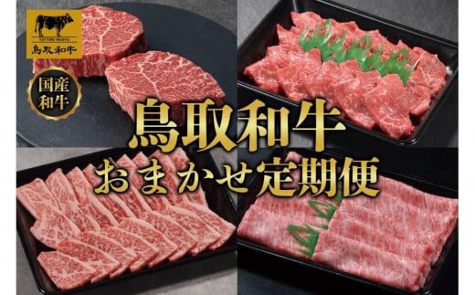 鳥取和牛 おまかせ 定期便 12か月  TB5|鳥取和牛 定期便 肉 お肉 にく 焼肉 すき焼き しゃぶしゃぶ 食品 鳥取県産 人気 おすすめ  ギフト 鳥取県 三朝町鳥取県三朝町8000000肉牛肉