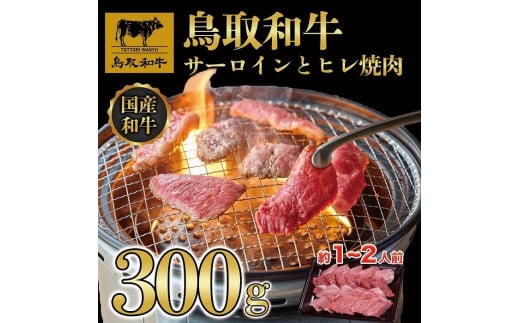 鳥取和牛サーロインとヒレ焼肉 サーロイン200g、ヒレ100g  1318|鳥取和牛 肉 お肉 にく ステーキ 食品 鳥取県産 人気 おすすめ  ギフト 鳥取県 三朝町鳥取県三朝町27000肉牛肉