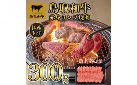 aԐgvē 300g  1438ba   ɂ v Hi 挧Y lC   Mtg 挧 O挧O14000