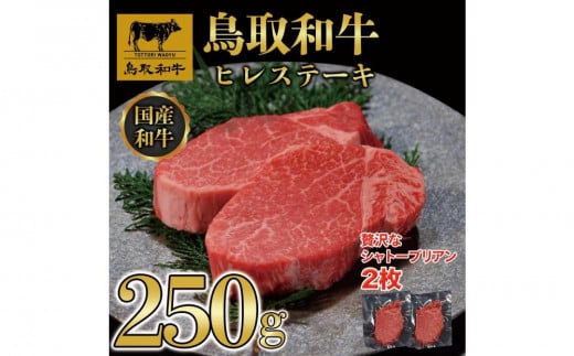 鳥取和牛ヒレステーキ 2枚(250g)364|鳥取和牛 肉 お肉 にく ステーキ 食品 鳥取県産 人気 おすすめ  ギフト 鳥取県 三朝町鳥取県三朝町35000肉牛肉