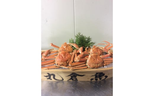【先行予約】【魚倉】松葉がに ボイル おまかせセット 3kg訳あり|国産 ズワイガニ 松葉ガニ カニ 蟹 かに ボイル カニ鍋 かに鍋 鍋 かにしゃぶ かにみそ 期間限定  鳥取県 三朝町鳥取県三