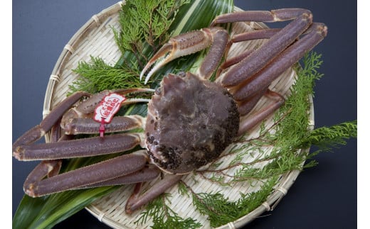 【先行予約】【魚倉】タグ付き生松葉ガニ(大800g)|国産 タグ付き ズワイガニ 松葉ガニ カニ 蟹 かに 生 カニ鍋 かに鍋 鍋 かにしゃぶ かにみそ 期間限定  鳥取県 三朝町鳥取県三朝町79000魚