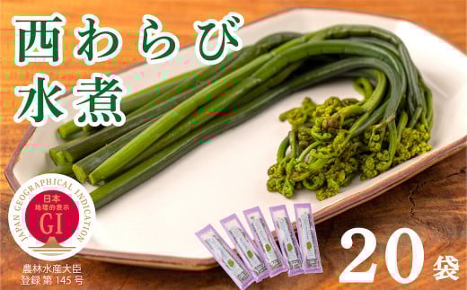 uт̐ρv20pbNyEρz茧a꒬31000؁Ê̂