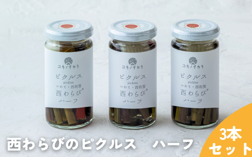 ユキノチカラ「西わらびピクルス」ハーフ 3本セット岩手県西和賀町9000野菜・きのこきのこ