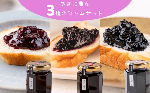 山里の恵みジャム3本(カシス・ブルーベリー・ハックルベリー)岩手県西和賀町9000鍋セット・総菜・加工食品ジャム・はちみつ