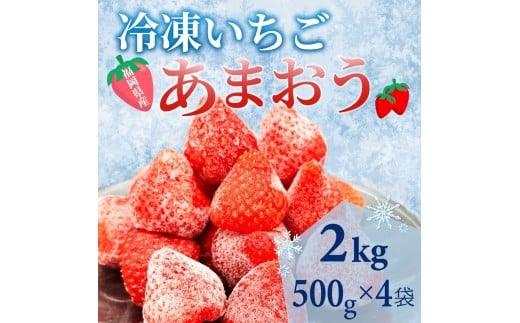 【福岡スイーツ自然の贈り物】かわいい化粧箱入り!福岡県産冷凍あまおう合計2kg(500g×4袋)【イチゴ いちご 苺 あまおう 果物 くだもの 博多名物 冷凍 スイーツ 贈答用 ギフト プレゼント 食