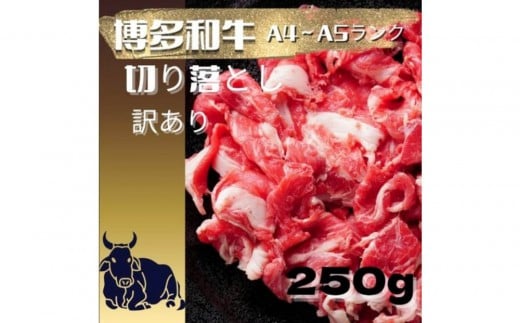 【定期便全2回】【訳あり】【A4〜A5ランク】博多和牛 切り落とし 250g福岡県大任町21000肉牛肉