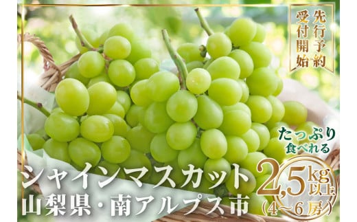 y2026Ns\zeʎRY VC}XJbg2.5sȏ(4`6[) ALPAI025RAvXs25000ʕEt[c}XJbgEԂǂ