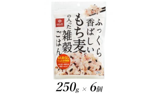 1.3-9-5はくばく ふっくら香ばしいもち麦の入った雑穀ごはん 250gx6個 ALPAN013山梨県南アルプス市14000米・パン玄米・雑穀米・もち米・餅