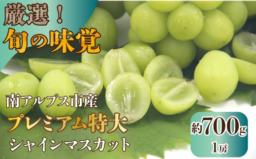 【2026年発送先行予約】厳選!南アルプス市産 プレミアム特大シャインマスカット 700g以上 1房 ALPDD011山梨県南アルプス市9000果物・フルーツマスカット・ぶどう