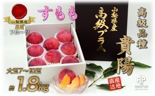 【2026年発送先行予約】 南アルプス市産 『貴陽』 特選大玉約1.8kg(7〜10玉) ALPDD014山梨県南アルプス市18000果物・フルーツその他 果物・フルーツ