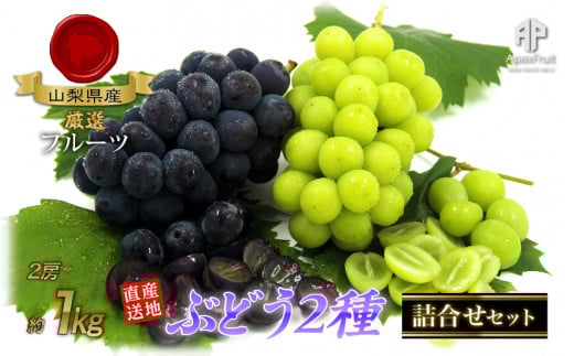 <2026年発送先行予約>厳選!南アルプス市産 ぶどう2種詰合せ 2房 約1.0kg ALPDD008山梨県南アルプス市10000果物・フルーツマスカット・ぶどう