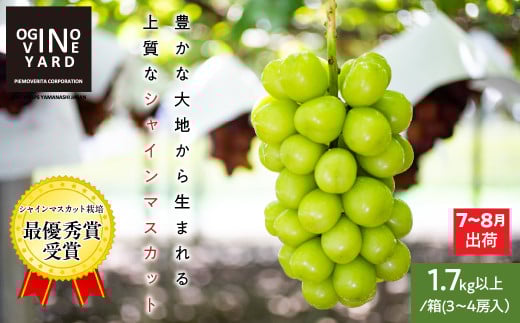 【2026年先行予約_7月上旬〜発送】山梨県産早期出荷シャインマスカット 1.7kg以上/箱 3〜4房入 ALPAK011|おすすめ 人気 山梨県 産地直送 フルーツ 果物 くだもの ブドウ ぶどう シャ