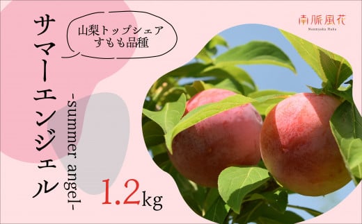 2026Ns\񁄔_ƒI@T}[GWF1.2kg ALPAJ006RAvXs10000ʕEt[c̑ ʕEt[c