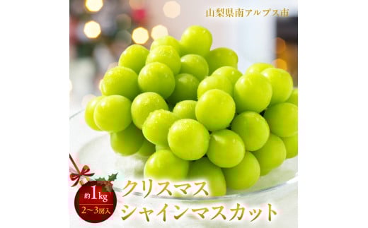 <2025年発送分先行予約>冬季限定!!山梨県南アルプス市産 クリスマスシャインマスカット 約1.0kg 2〜3房入り ALPAH002山梨県南アルプス市25000果物・フルーツマスカット・ぶどう