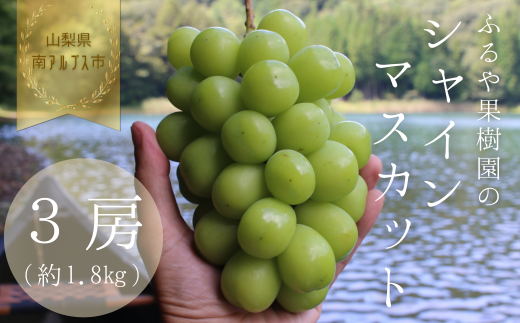 yߘa8NEs\zAvXsYVC}XJbg(3[E1.8kg)^SňĂn̕΁I ALPDX003RAvXs30000ʕEt[c}XJbgEԂǂ