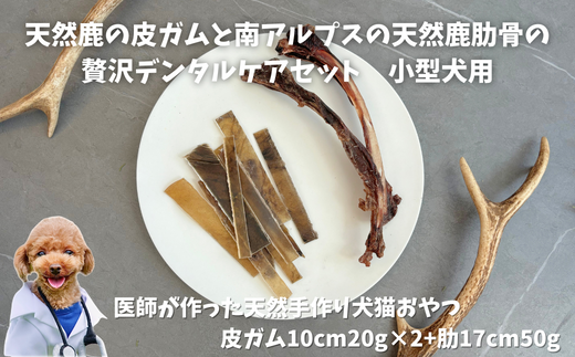 6-81 VR̔KƓAvX̓VR]ґf^PAZbg^p@ALPDW013RAvXs14000WrG