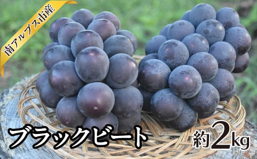2026Ns\񁄃ubNr[g@2.0kg ALPAJ044RAvXs15000ʕEt[c}XJbgEԂǂ