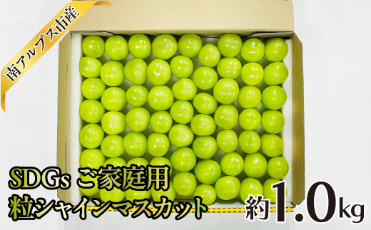 <2026年発送分先行予約>SDGs ご家庭用 粒シャインマスカット約1.0kg ALPAJ049山梨県南アルプス市9000果物・フルーツマスカット・ぶどう