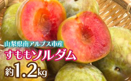 <2026年発送先行予約>すももソルダム 約1.2kg ALPCZ003山梨県南アルプス市12000果物・フルーツその他 果物・フルーツ