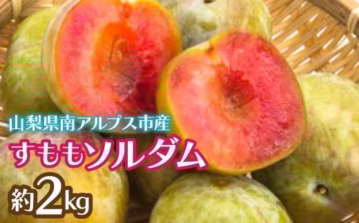 2026Ns\񁄂\_2kg ALPCZ004RAvXs16000ʕEt[c̑ ʕEt[c