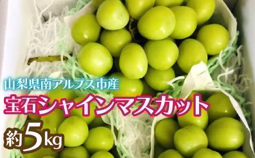 2026Ns\񁄊n ΃VC}XJbg5kg ALPCZ006RAvXs50000ʕEt[c}XJbgEԂǂ