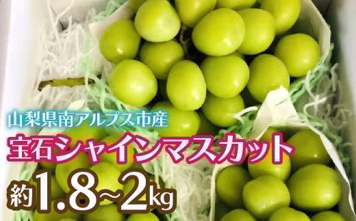 2026Ns\񁄊n ΃VC}XJbg1.8`2kg ALPCZ007RAvXs21000ʕEt[c}XJbgEԂǂ
