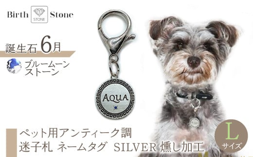 uhw@i-LACQ@xACEVN ybgpAeB[N@qD@l[^O SILVER@H@LTCY@6@u[[Xg[ ALPDL026_6RAvXs50000ߗށEi