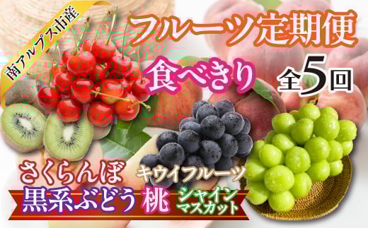 ★先行予約【食べきり】新鮮!旬のフルーツ5回定期便〈くだもの フルーツ さくらんぼ、桃、黒系ぶどう ピオーネ ブラックビート ふじみのり シャインマスカット キウイフルー