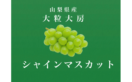 <2026年発送先行予約>大粒大房!山梨県産シャインマスカット 2房 ALPDS007山梨県南アルプス市22000果物・フルーツマスカット・ぶどう