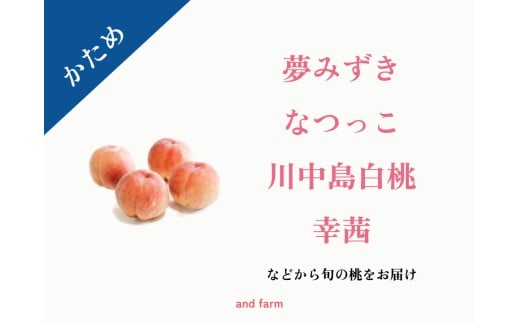 <2026年発送先行予約>【かため桃】シャキッとかための桃好き必見!桃のリレーが楽しめる!約4kg (約10~12玉) ALPDS015山梨県南アルプス市27000果物・フルーツもも・すもも