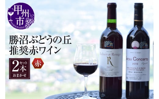 勝沼ぶどうの丘推奨 赤ワイン2本セット(KBO)B2-615【ワイン 赤ワイン 甲州市 山梨県】山梨県甲州市20000酒・アルコールワイン