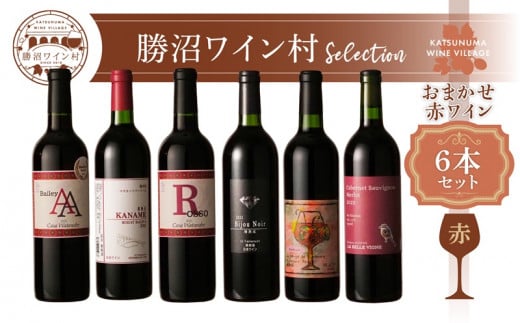 C ܂Ciԁj6{ZbgiKWVjH-620RbBs60000EAR[C