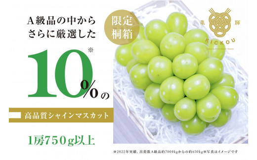 「亀輝」最高級シャインマスカット1房750g以上【限定桐箱入り】【2025年発送】(RO)D-123 【亀輝 シャインマスカット 葡萄 ぶどう ブドウ 令和7年発送 期間限定 山梨県産 甲州市 フルーツ 果