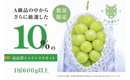 【数量限定】粒が詰まった高級シャインマスカット「亀光」1房600g以上【2025年発送】(RO)B-156 【亀光 シャインマスカット 葡萄 ぶどう ブドウ 令和7年発送 期間限定 山梨県産 甲州市 フルー
