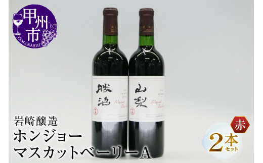 ホンジョーマスカットベーリーA飲み比べ赤ワイン2本セット(MG)B2-677山梨県甲州市18000酒・アルコールワイン