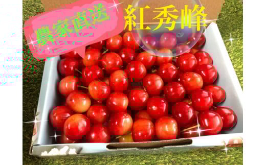 ̕Δ iygGzYҒy2026NziISIjB12-157RbBs20000ʕEt[c