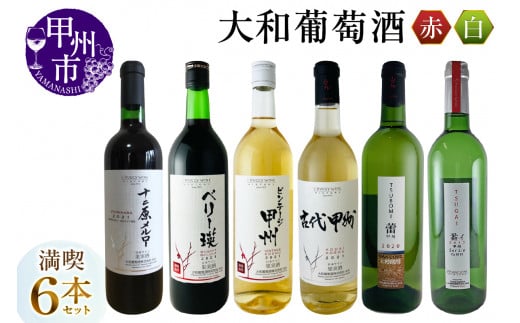 大和葡萄酒が贈る赤白6本満喫セット(MG)E1-650山梨県甲州市52000酒・アルコールワイン