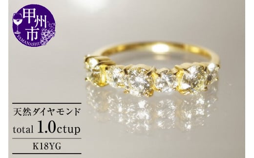 指輪 天然 ダイヤモンド 1.0ct ハーフ エタニティー SIクラス Germaineジェルメーヌ【K18YG】r-167(KRP)Q24-1410【リング 指輪 ジュエリー イエローゴールド ギフト】山梨県甲州市1000000衣類・装飾品