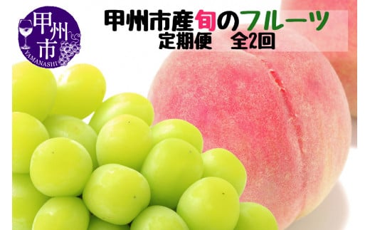 【定期便】甲州市産厳選旬のフルーツ定期便全2回(桃・シャインマスカット)【2026年発送】(MG)B19-480山梨県甲州市24000果物・フルーツもも・すもも