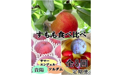 yցzDKII33 1 T}[GWF 2 \_ 3 Mzy2026NziISIjD4-158y   ߘa8N Ԍ RY bBs t