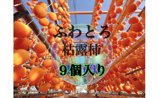 て!なんで〜こりゃぁ新食感とろっふわ枯露柿(9個入り)生産者直送【2025年発送】(ISI)B-809山梨県甲州市14000果物・フルーツその他 果物・フルーツ