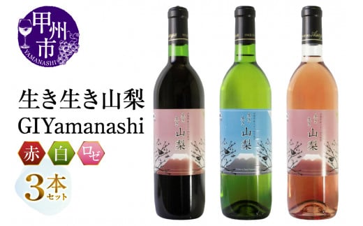 R[GIYamanashi]3{ZbgiMGjB17-651RbBs20000EAR[C