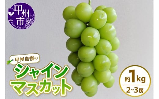 甲州自慢のシャインマスカット 約1kg(2〜3房入り)【2026年発送】(NK)A08-421 【シャインマスカット 葡萄 ぶどう ブドウ 令和8年発送 期間限定 山梨県産 甲州市 フルーツ 果物】山梨県甲州市