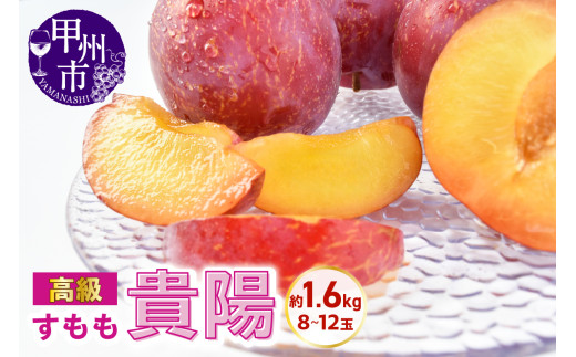 高級すもも 貴陽 約1.6kg(8〜12玉)【2026年発送】(KSB)B18-131 【貴陽 すもも 桃 もも モモ 令和7年発送 期間限定 山梨県産 甲州市 フルーツ 果物】山梨県甲州市22000果物・フルーツその他 果物