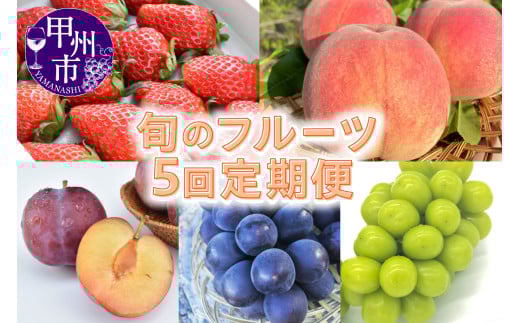 【定期便】甲州市産 旬のフルーツ5回定期便(KSB)E4-101 【桃 もも モモ 貴陽 すもも スモモ 黒ぶどう シャインマスカット 葡萄 ぶどう ブドウ 期間限定 山梨県産 甲州市 フルーツ 果物】山梨